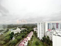 Ivory Heights (D22), Condominium #503854071